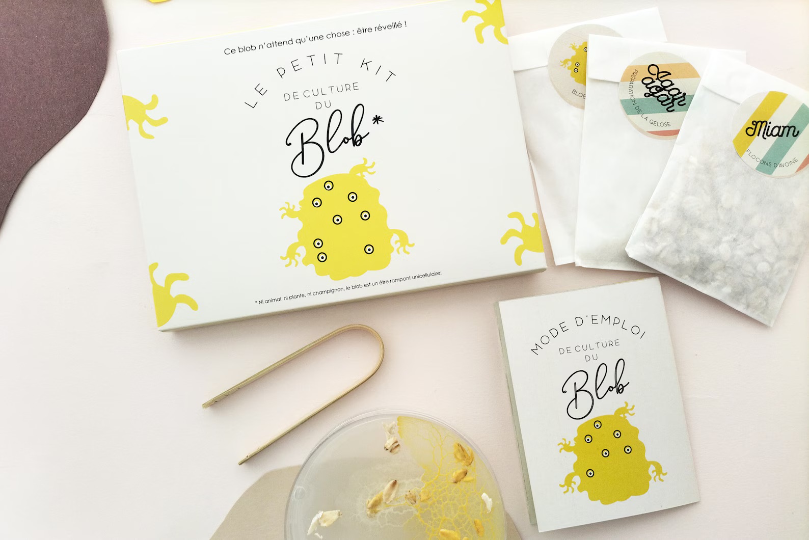 Slime Mould Kit – Sleeping Blob, Petri Dish and Agar - Vista 3