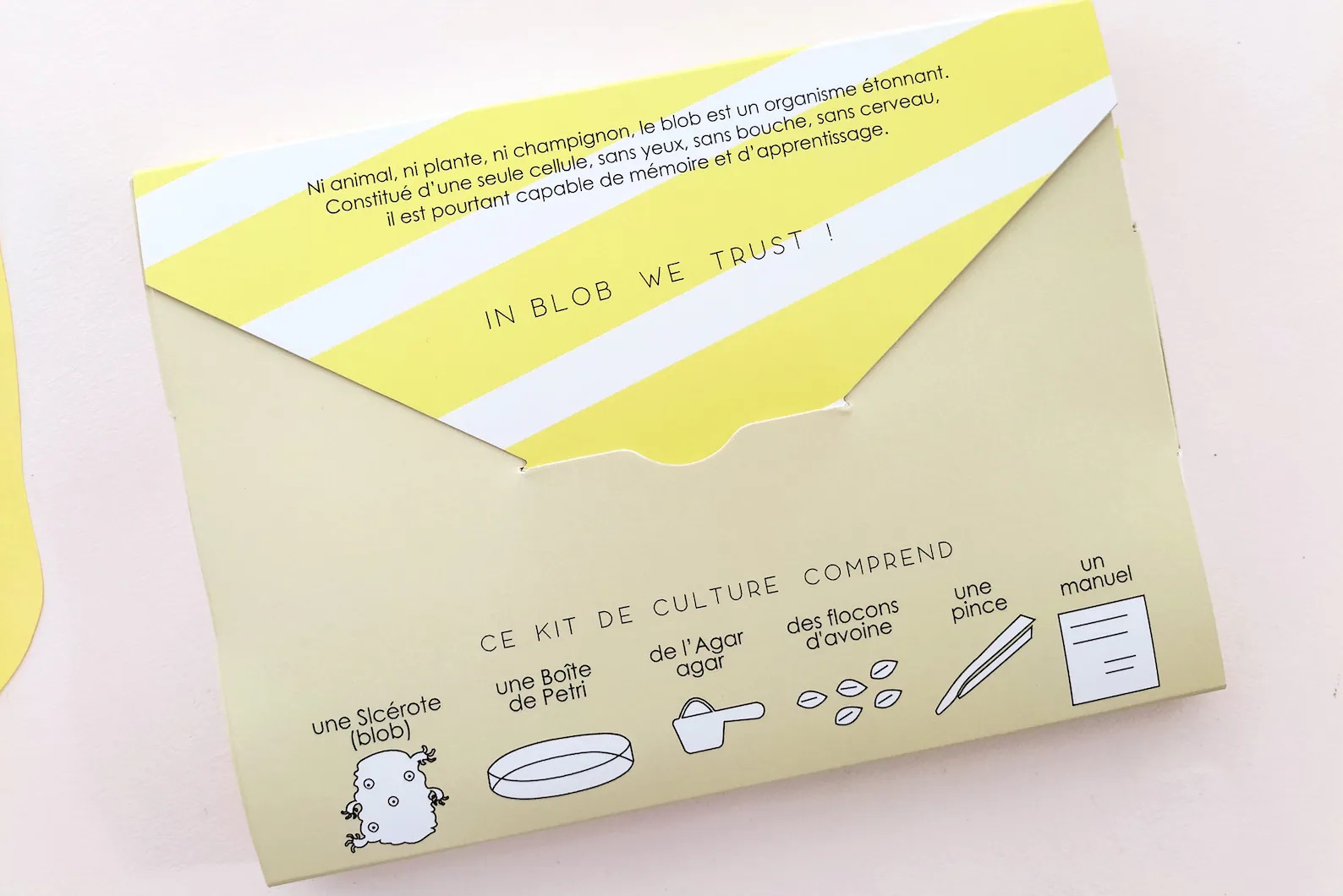 Slime Mould Kit – Sleeping Blob, Petri Dish and Agar - Vista 4