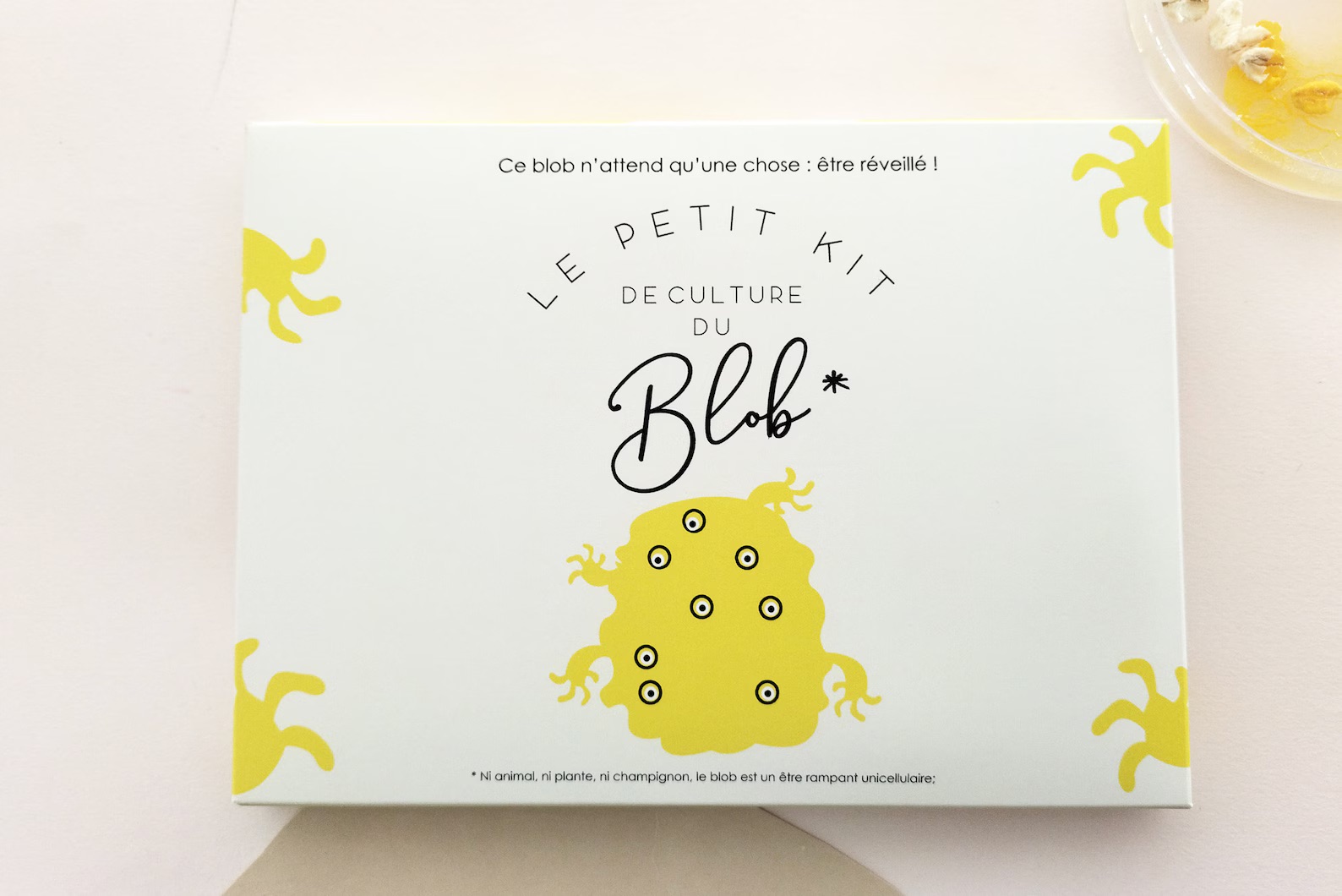 Slime Mould Kit – Sleeping Blob, Petri Dish and Agar - Vista 6