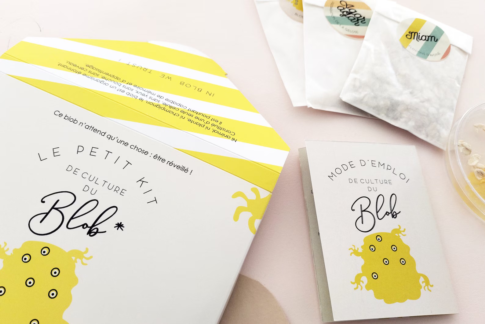 Slime Mould Kit – Sleeping Blob, Petri Dish and Agar - Vista 8