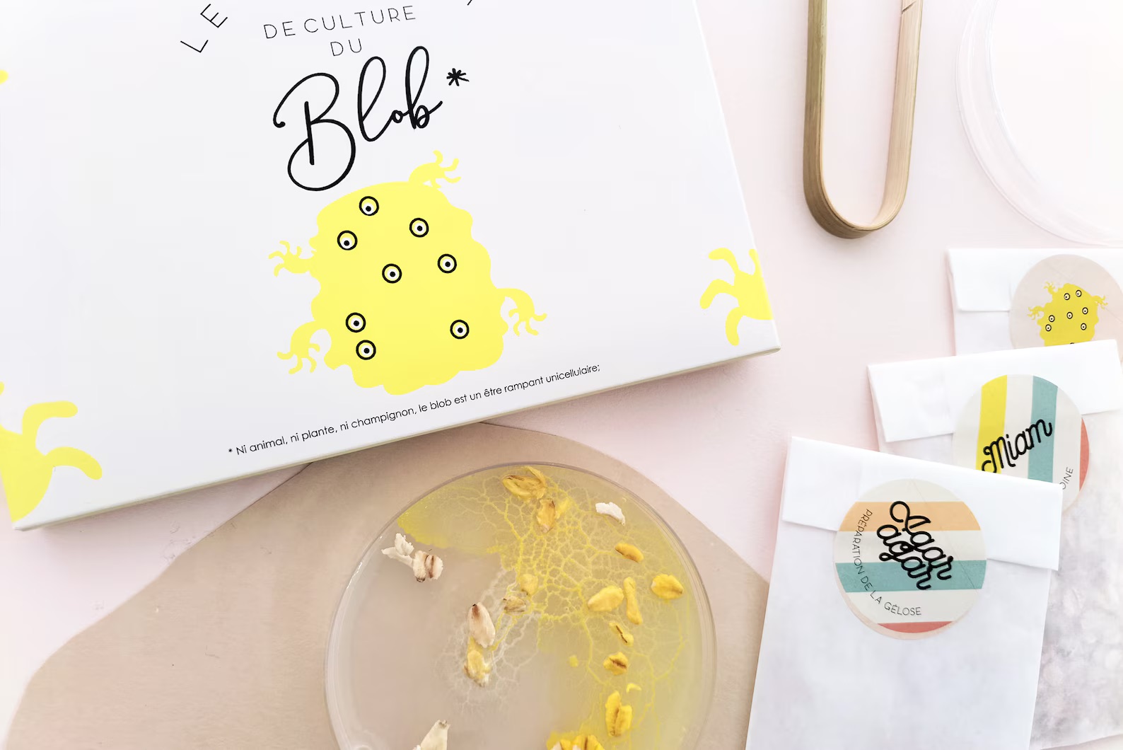 Slime Mould Kit – Sleeping Blob, Petri Dish and Agar - Vista 9